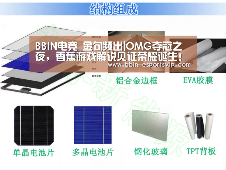 BBIN足球
