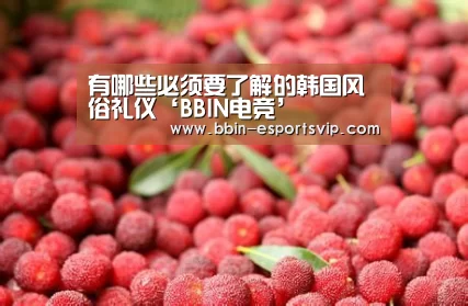 有哪些必须要了解的韩国风俗礼仪‘BBIN电竞’(图3) BBIN足球