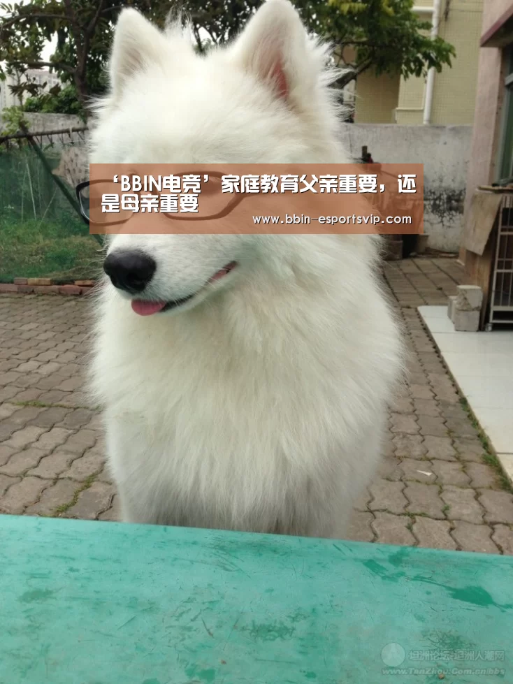 ‘BBIN电竞’家庭教育父亲重要,还是母亲重要(图4) BBIN篮球