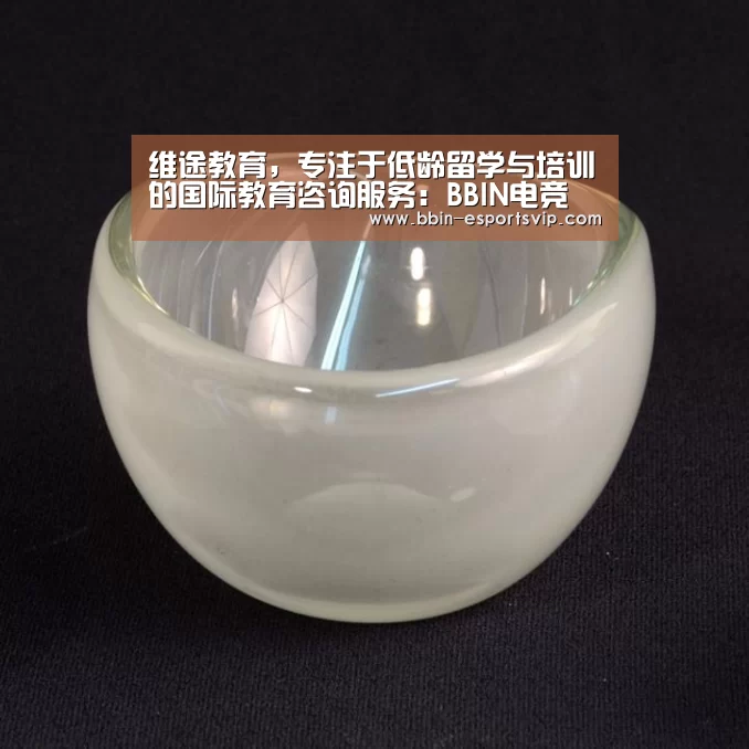 BBIN篮球