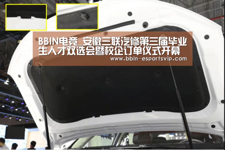 BBIN体育