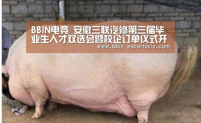 BBIN体育