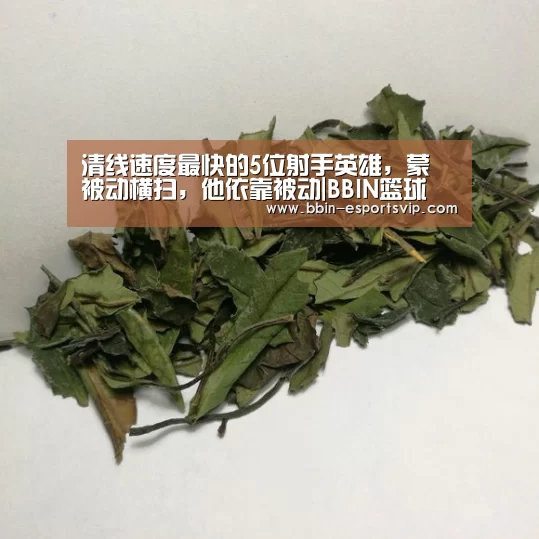 BBIN足球