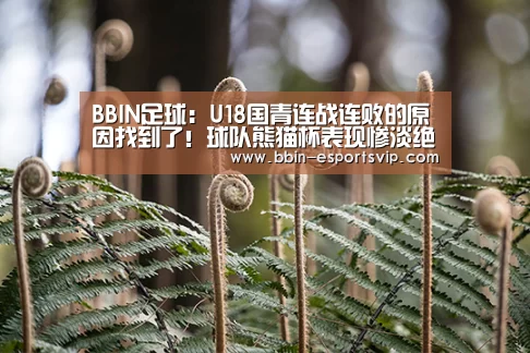 BBIN体育
