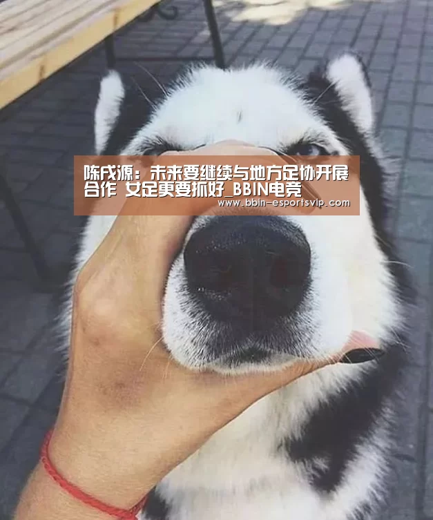 BBIN电竞